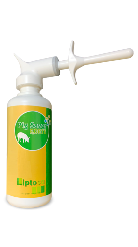 Pig Saver Feorte 