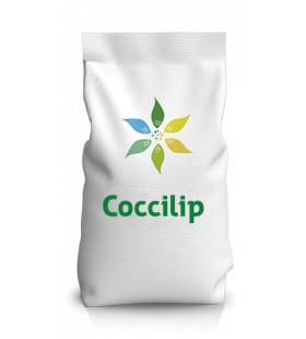 Coccilip