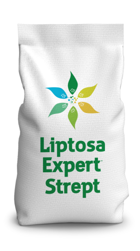 Liptosa Expert Strept