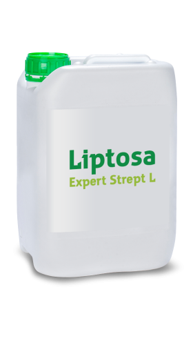 Liptosa Expert Strept L